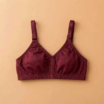 Special Deal Women Bra Pack of 2